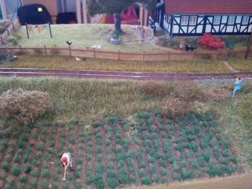 17_masinky_IMG_20170422_103905